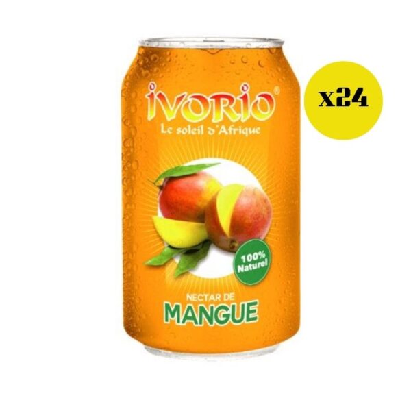 carton-jus-ivorio-nectar-mangue-24-x-33cl